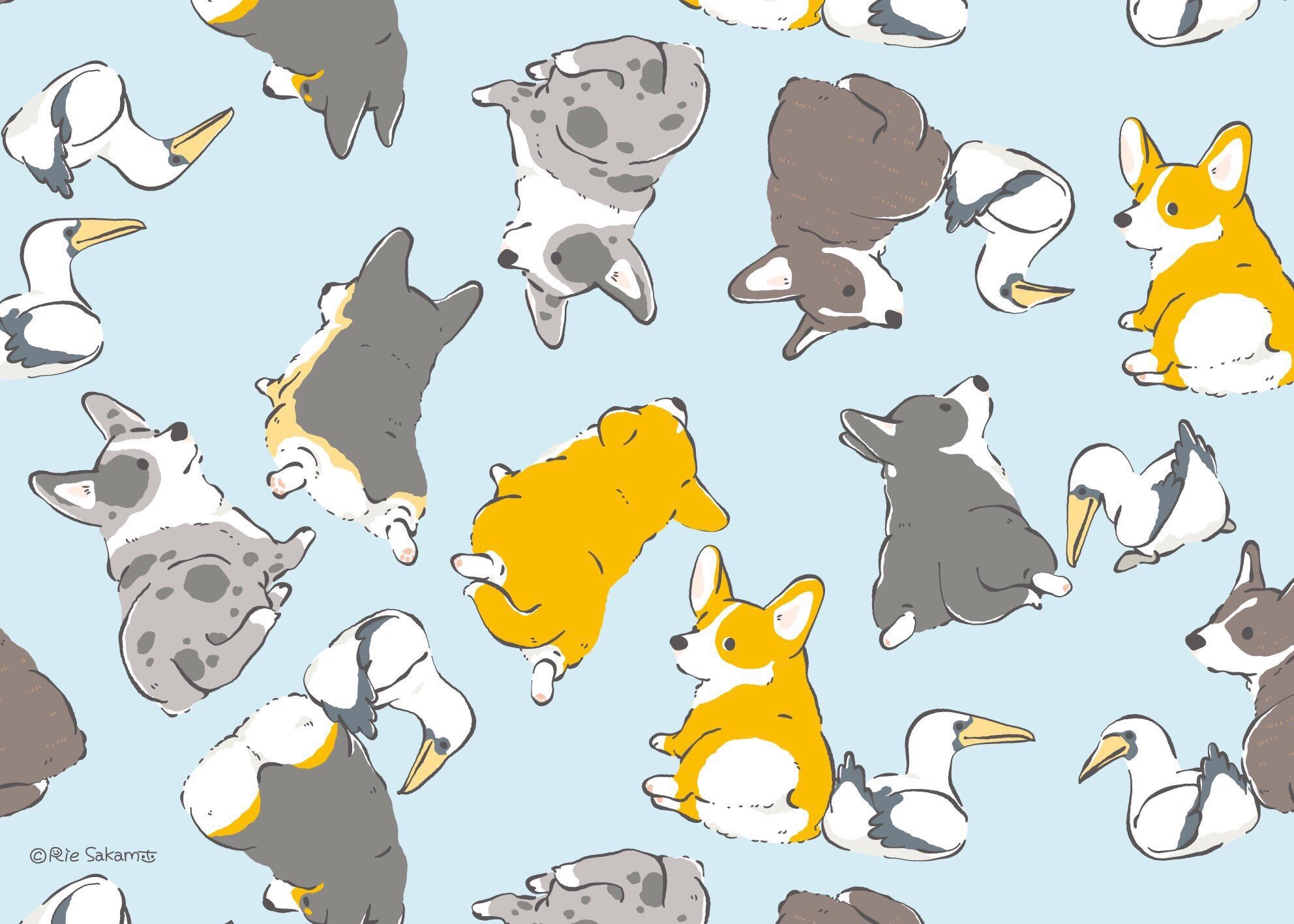 サカモトリエ イラストレーター いいおしりの日に コーギーとアオツラカツオドリのもふもふ詰め合わせ いいおしりの日 Corgi コーギー イラスト コギまるけ サカモトリエ イラストレーター いいおしりの日に コーギーとアオツラカツオドリのもふもふ詰め合わせ いいおしりの日 Corgi コーギー イラスト コギまるけ
