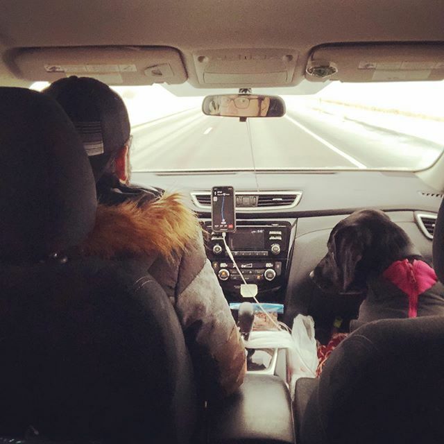 Henster113's tweet photo. Just me and my co-pilot.......and @f_is_for_faith @blacklabsquad https://t.co/3ZdPwEJBuH https://t.co/wnFdNDqg3t
