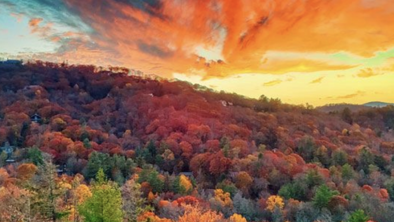 tiffanyshlain's tweet image. Okay..this image is not what is outside my window..but isn’t  it gorgeous? Ready to turn off all my screens for my weekly #TechShabbat. Hope you had a hamisha holiday and see you on the other side. 

 #24SixLife
#TechLifeBalacne
#Shabbat  #TGIF