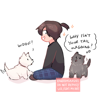 big puppy meets smol puppies ?

#btsfanart #BTS #JUNGKOOK #BONVOYAGE4 @BTS_twt 