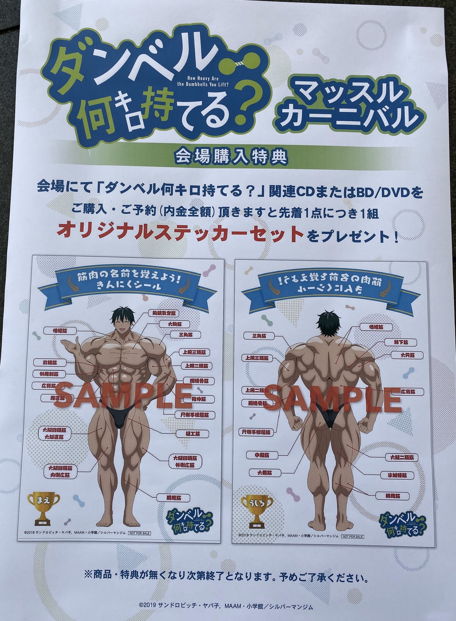 Twitter पर Tvアニメ ダンベル何キロ持てる 公式 Dvd発売中 会場にて ダンベル何キロ持てる 関連cdまたはbd Dvdをご購入頂きますと 先着で1点につき1組 筋肉の名前を覚えよう きんに Twitter पर Tvアニメ ダンベル何キロ持てる 公式 Dvd発売中 会場にて ダンベル何キロ持てる 関連cdまたはbd Dvdをご購入頂きますと 先着で1点につき1組 筋肉の名前を覚えよう きんに