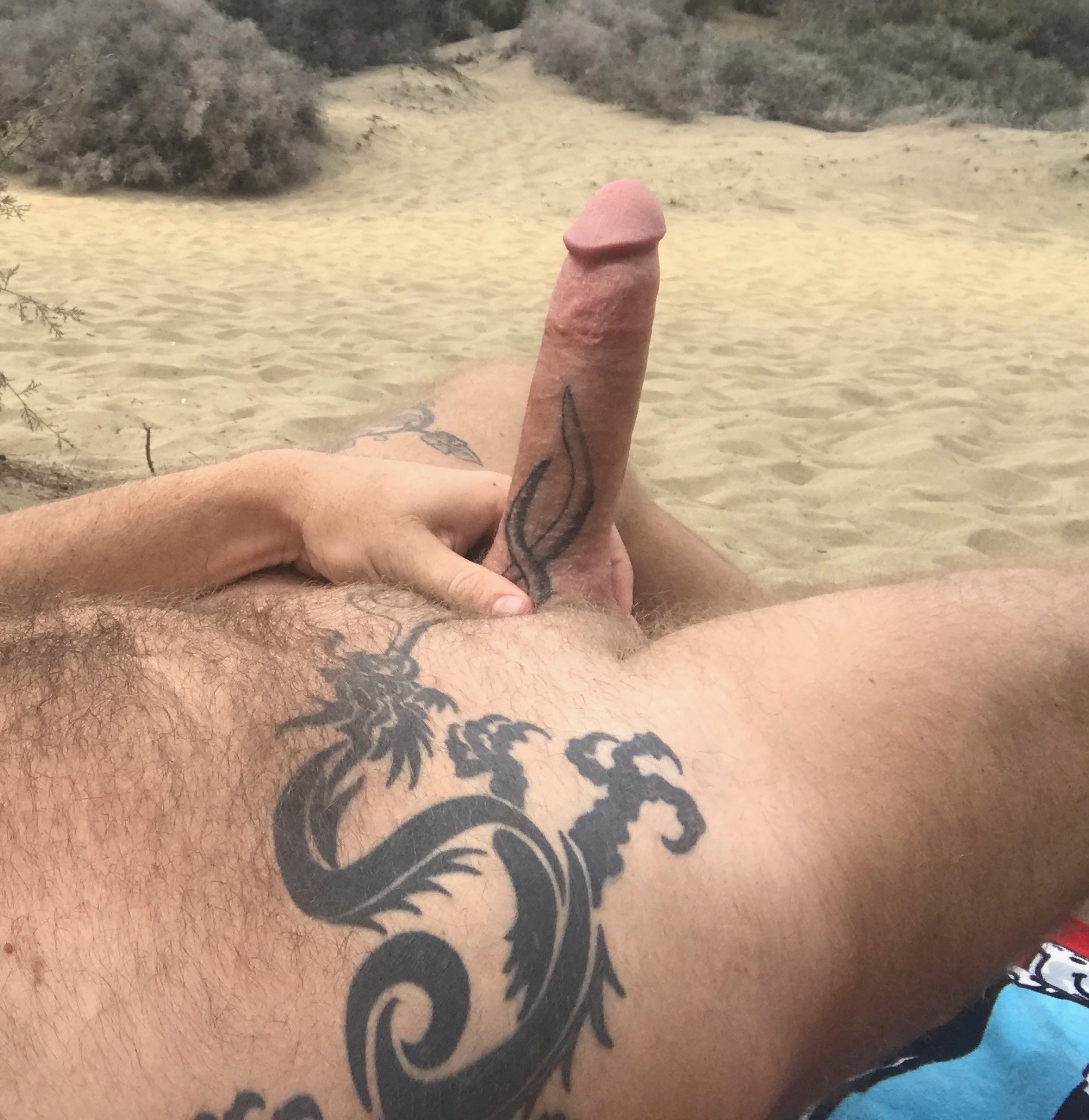 BigDragon (74k) Twitter'da: "#beachboner #bigdick #tattoodic