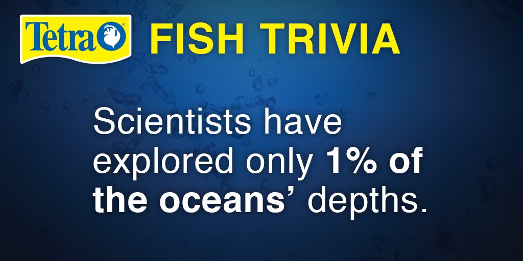 #scientists have only explored only 1% of the ocean depths. #tetrafunfact #funfishfactfriday