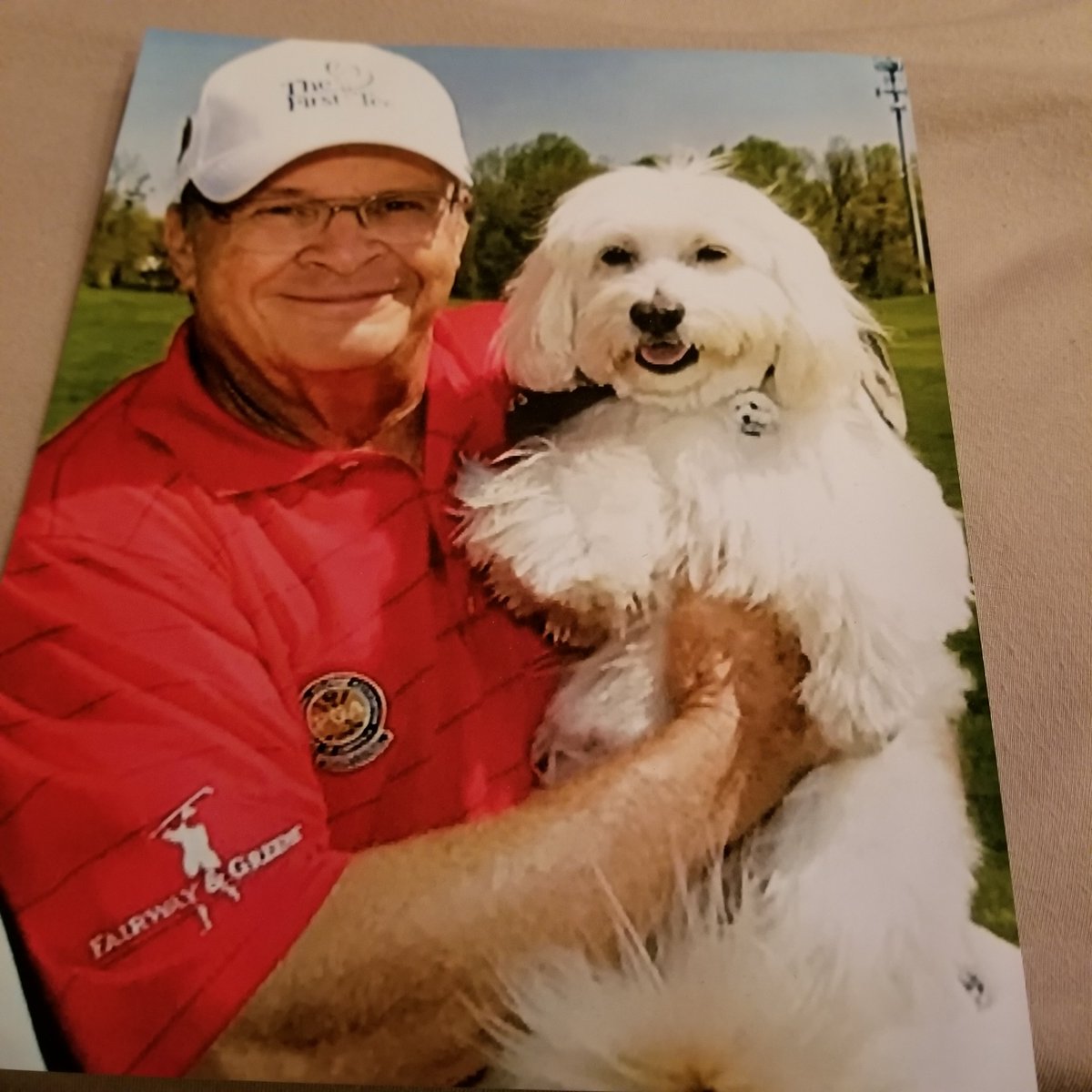 Looking to rescue 20 pounds, 1-2 years older, great attitude, for service dog and my show. Looks like this. Please help spread the word. Thanks