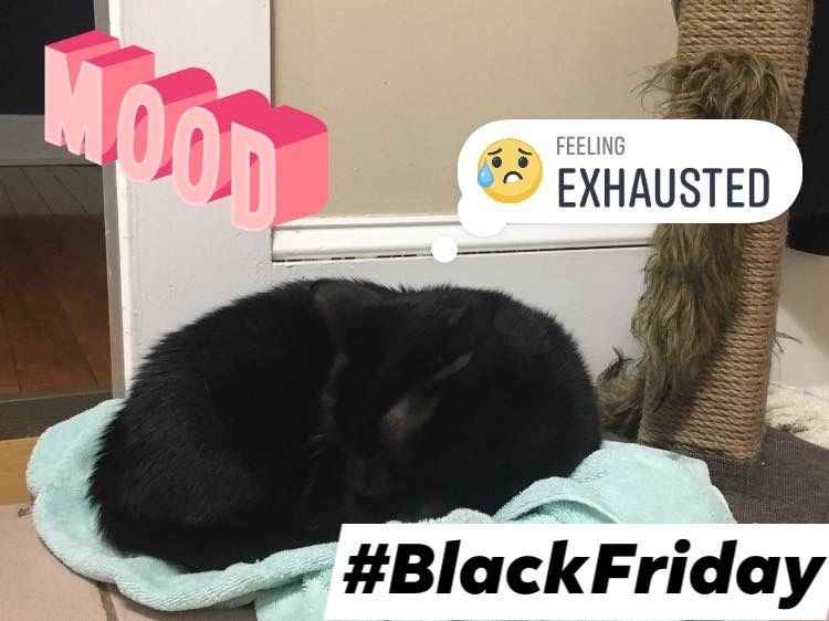 How was your #BlackFriday? ~Nikolai 💤😴🐾🖤 #BlackCatFriday #FridayFeline #FridayFeeling #CaturdayEve #CatsOfTwitter #BlackCatsOfTwitter #PanfurSquad #Panfur #HousePanther #BlackCat #SleepyKitty #BestCats #LongDay #BlackFriday2019 #RescueCats #CatLife #BlackHolesOfTwitter #Zzz