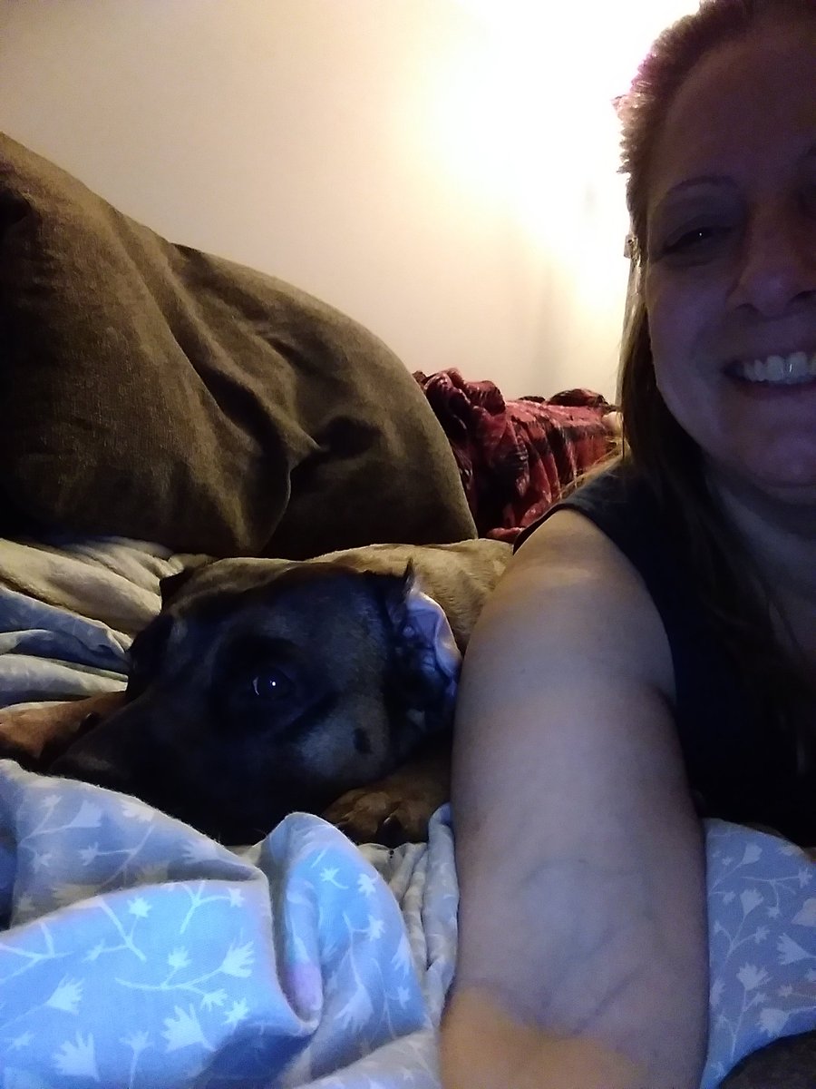 LisaLong08's tweet photo. #DogThanking I love my dog because the does everything with me, is great company, very smart, and extremely lovable! Here we are watching the dog show together. https://t.co/lMrJhrORwC