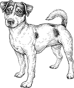 Finch Publishing tweet media