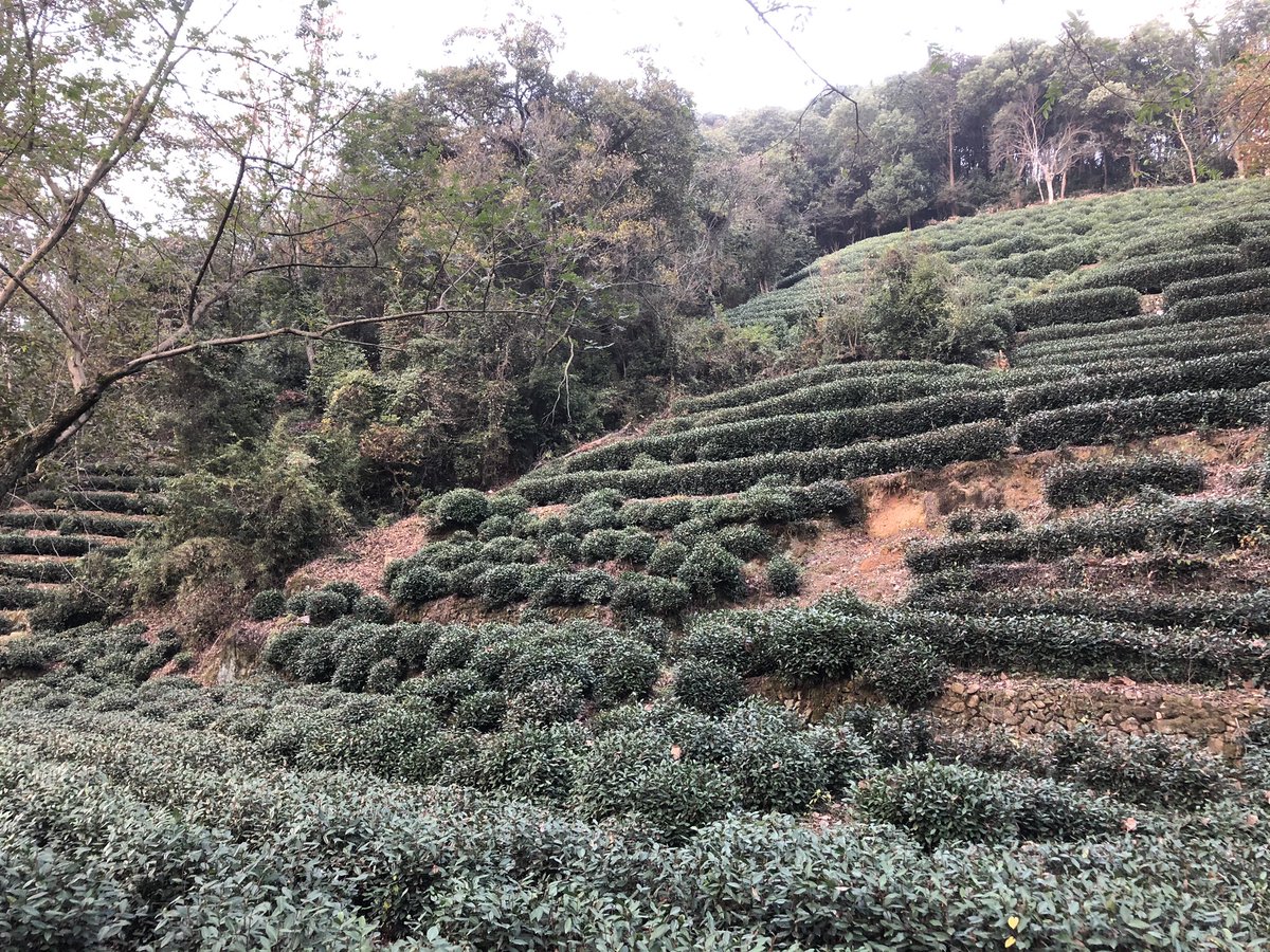 Late autumn in Hangzhou