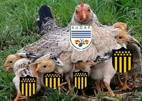 Jhonny56959341's tweet photo. El mejor momento para usar este meme es ahora. https://t.co/cJ0HYegGKT
