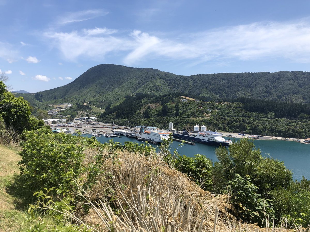 Mike Boyle tweet media