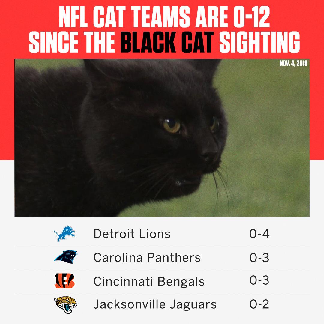 Espn On Twitter The Mnf Cat Curse Is Real Since The Black Cat Sighting On November 4th The Nfl S Cat Teams Have Lost Every Game They Ve Played H T Reddit U Duval11 Https T Co Wqm6deoqcd