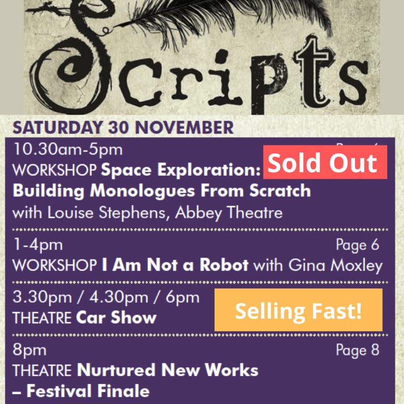 ScriptsIreland's tweet photo. So much to savour on the last day of #scriptsireland today! Please note: a performance of Car Show @ProductionsBow is already sold out. Get booking: https://t.co/b3SdDYSEPB @BirrCastle @ginamoxley @BirrTheatre @CathyBelton @Janbananmoran @TonyDoyle92 @DiarmuidNoyes https://t.co/2H6v2qKfUB