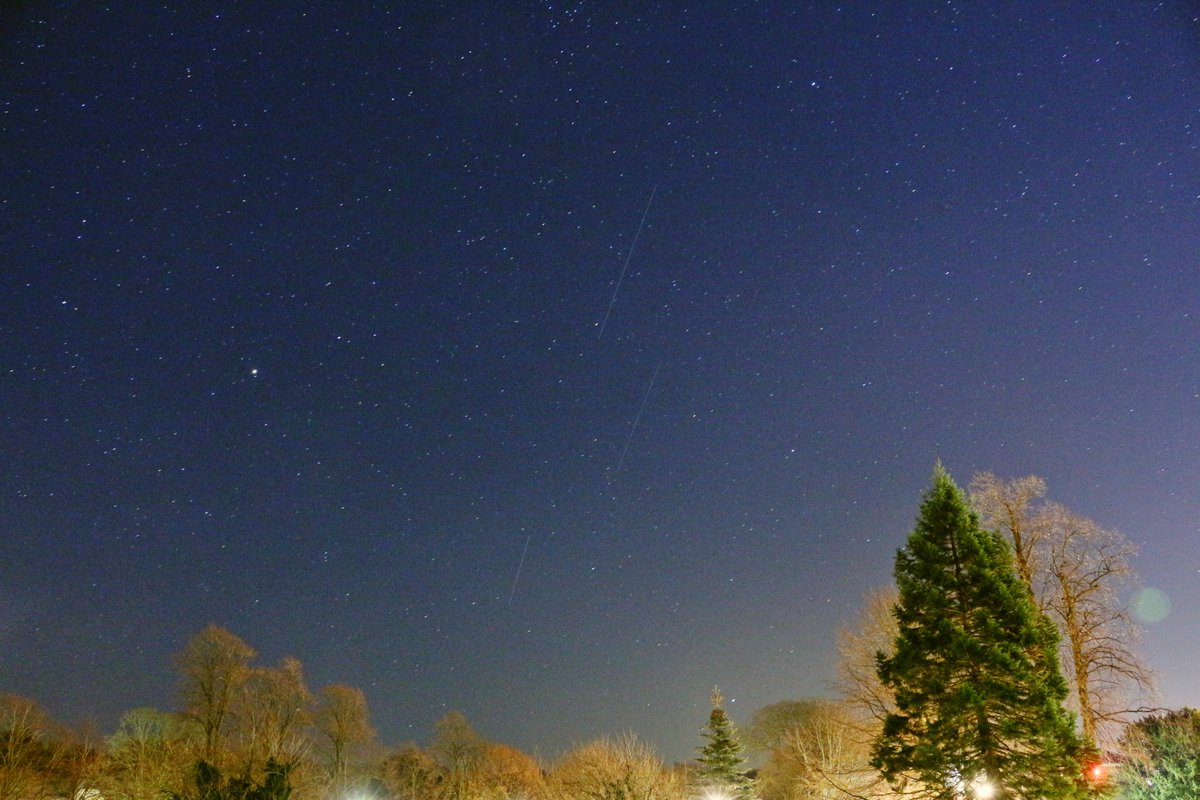 Here's one of them - a single, 30s exposure showing multiple Starlink trails... note: these were not visible to the naked eye.