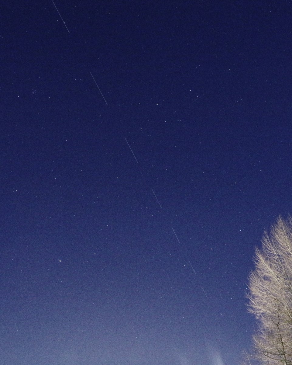 I went back inside to thaw out for a while, and went back outside again after half an hour or so, at around 6am. The sky was brighter, but Starlinks were still crossing the sky. Note: despite the brightness of the sky the sateliites were still naked eye visible...