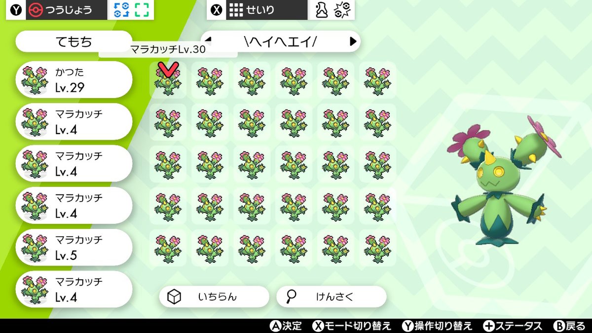 いけさか على تويتر ボックスいっぱい ポケモン剣盾 Nintendoswitch