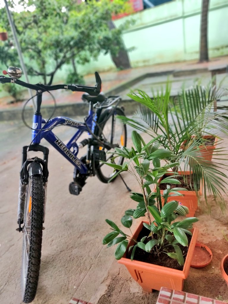 SharanyaAri's tweet image. Enjoying my morning view. 
#GreenWeekend
#மழைக்காலம்
#கன்னியாகுமரி