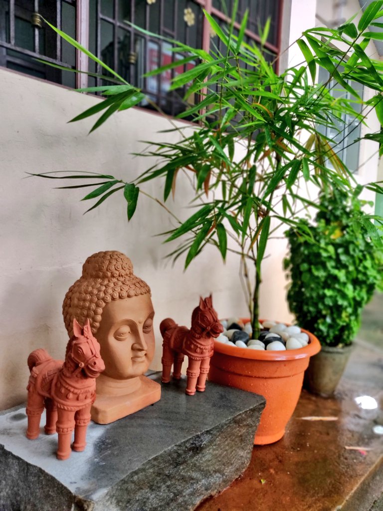 SharanyaAri's tweet image. Enjoying my morning view. 
#GreenWeekend
#மழைக்காலம்
#கன்னியாகுமரி