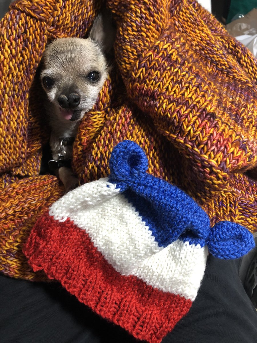 AnnEveDingell's tweet photo. Current knitting project (sea monkey hat & cardigan), past project, blanket, and a single small Fig.
#weefig #knitting ##babyknittingpatterns #yarnporn #yarnstash #ravelry https://t.co/7Ez237VHOJ