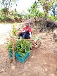 NdoloLukas's tweet photo. @RomeoLuka1 @citizentvkenya Jambo am fine in nairobi i urge every disabled to drive towards tree planting https://t.co/sn6hUMrchT