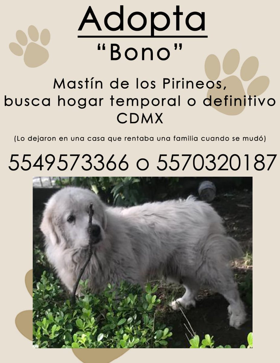 cristina rocha tweet media