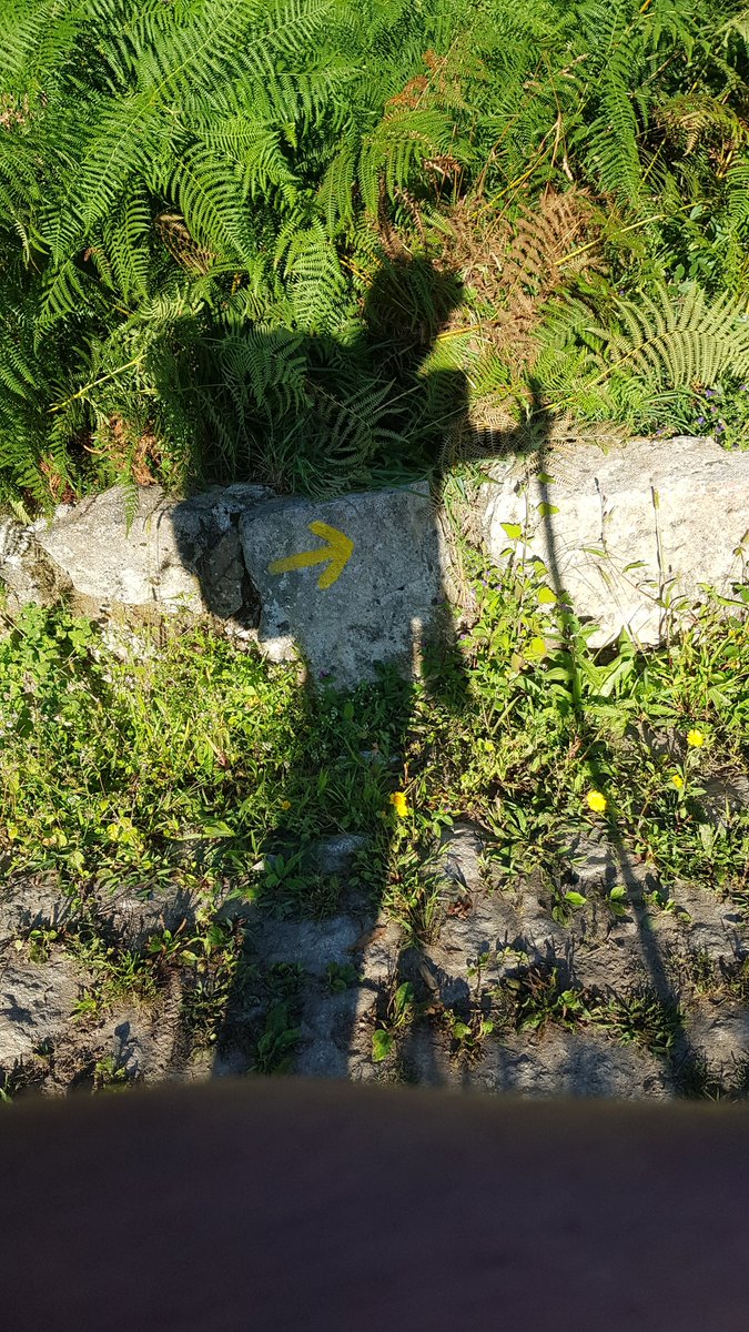 sebastiano1982's tweet image. Cada quien realiza su propio viaje, pero solo hay un camino.
#CaminoDeSantiago
#SaintJamesWay #InterviewWithGod
#Shadow