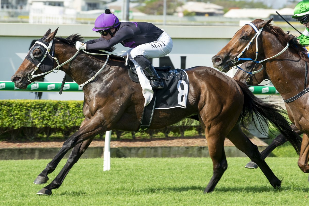 mmsnippets's tweet photo. Boomtown Lass (Spirit of Boom-Boomalicious) proves too strong at Doomben winning under Mark Du Plessis for trainer Chris @Anderson_Racing. Boomtown Lass was a National Yearling Sale graduate from @eurekastud. Good day for the sire and stud. 
#ClassOf2017 https://t.co/kF2jHDrK9J