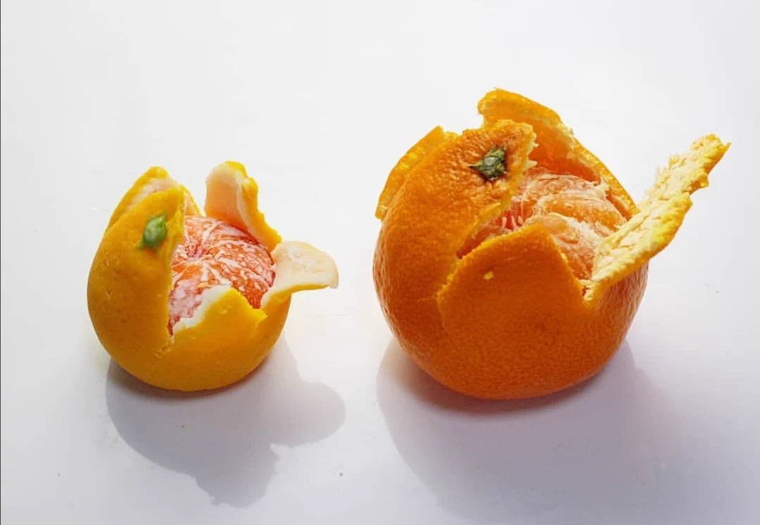 和菓子です！と書いてあっても、本物のミカンにしか見えない上生菓子がすごい！