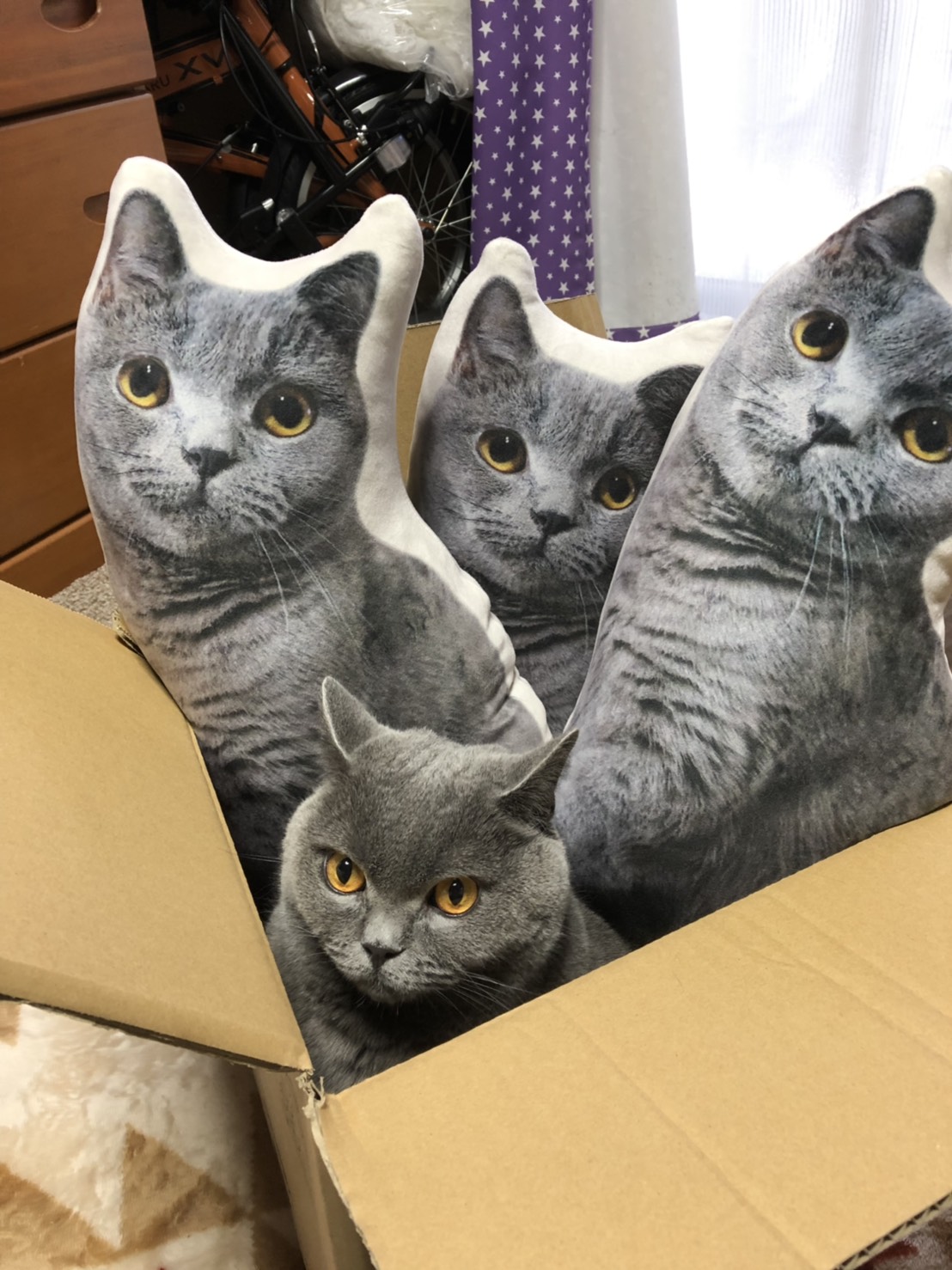 Ka ６v６ Ho ニトリで見つけた ニトリ19 梵くん分身の術 モチモチクッションマルオ