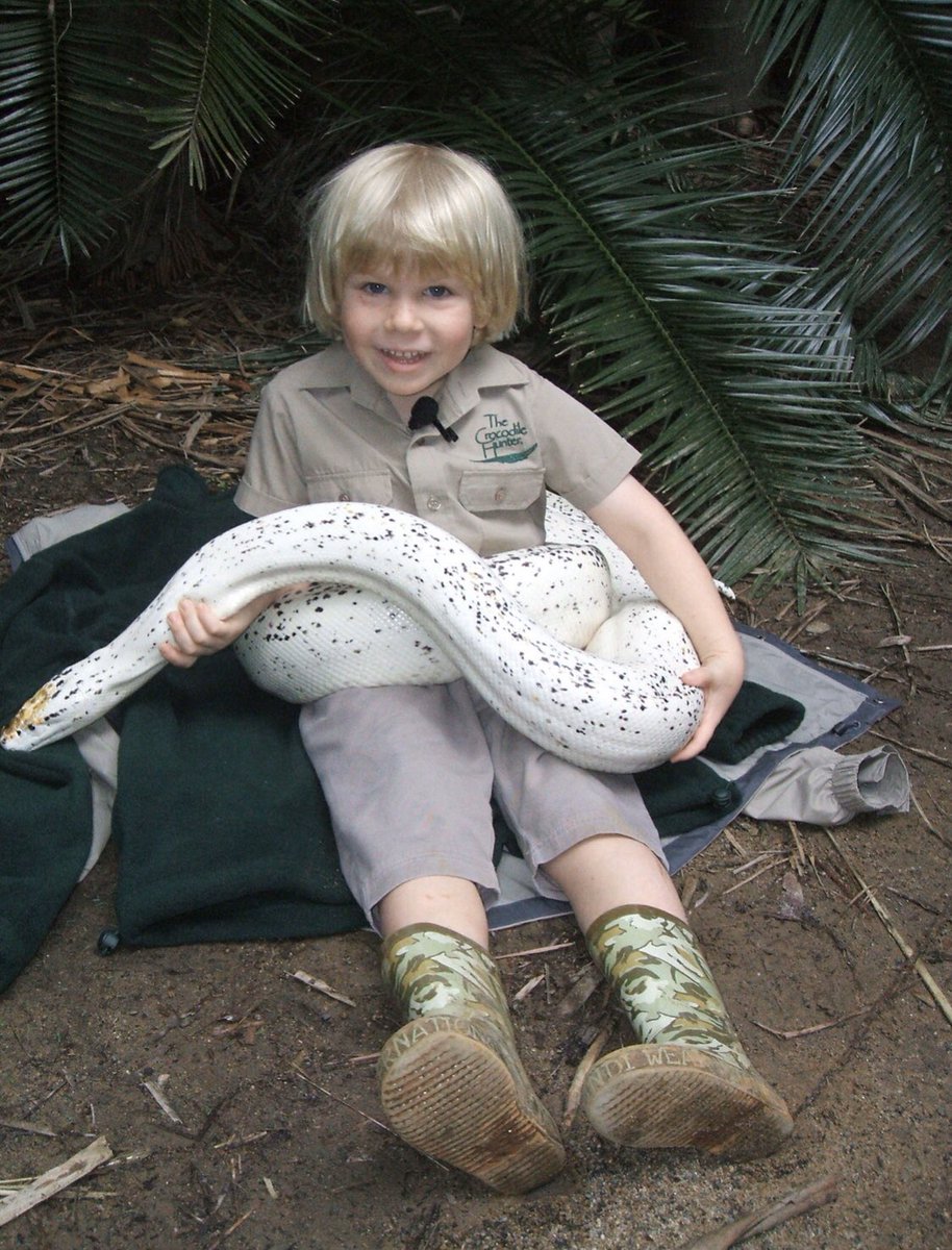 TerriIrwin tweet picture