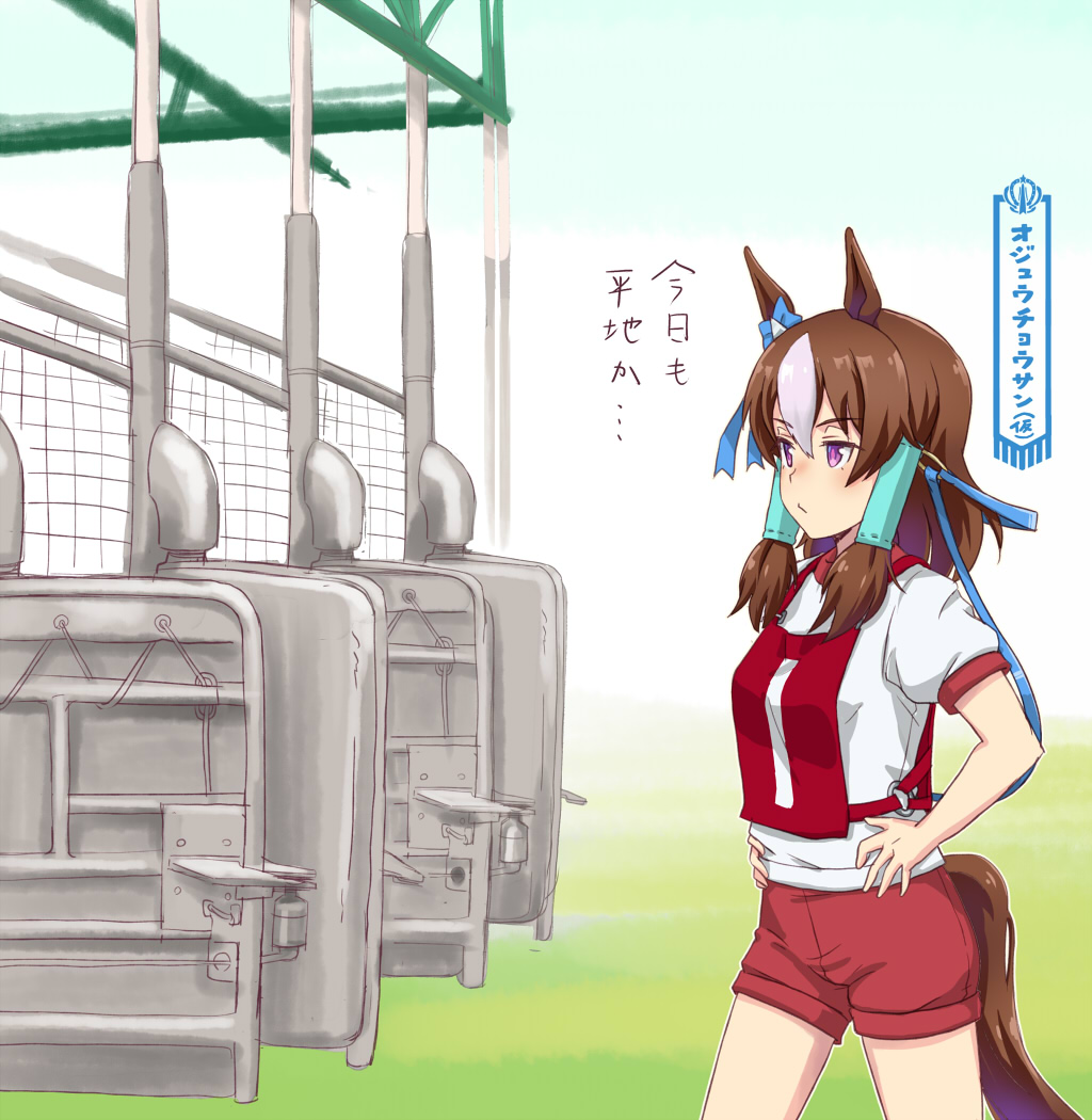 オジュウ平地がんばえー定期 