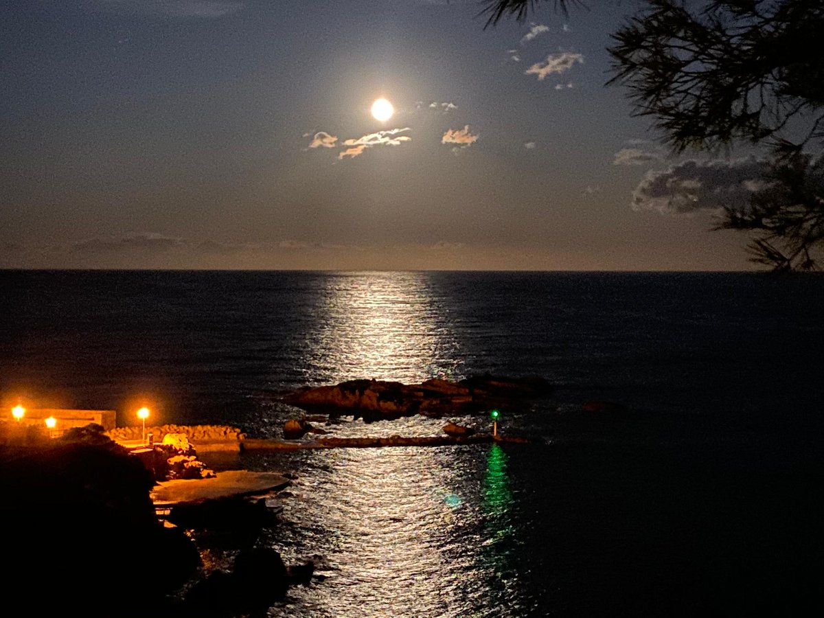 CostaBravaPro's tweet photo. https://t.co/cNMthq0kmH
