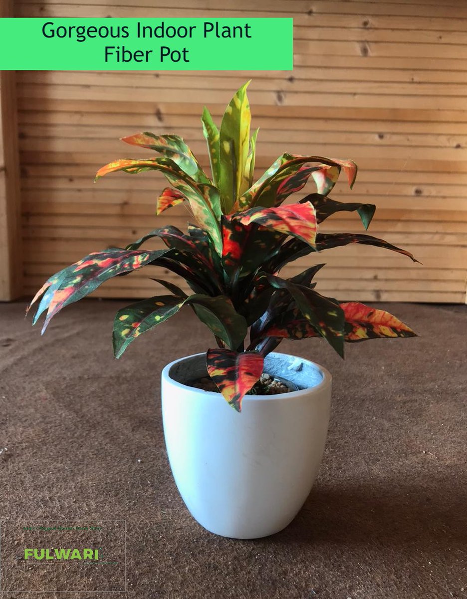 NKAgrotech's tweet photo. At Fulwari, we brings a wonderful option for all the plant lovers who adore indoor pants and would like to grace their home decor with some greenery.
#fiberpot #smallpot #gardening #indoorplant #fulwari #gandhidham #jaipur #homedecor https://t.co/DLUm8u5DkR