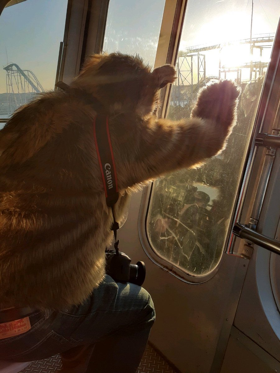 是政　KOREMASA tweet media