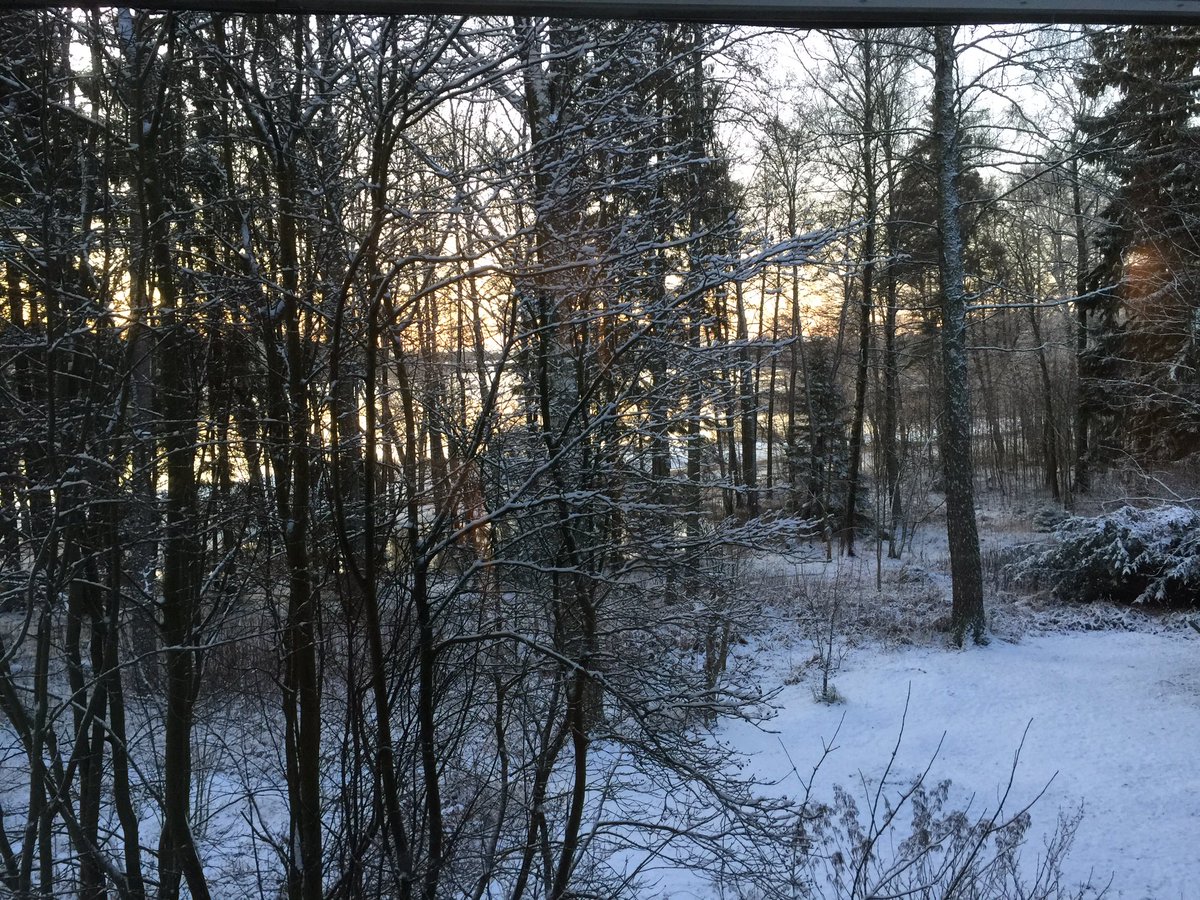 mathildepauls's tweet photo. Won’t complain about the view from the living room window here 😍 #snow #🇫🇮 #coldthough https://t.co/AnIzofw8T6