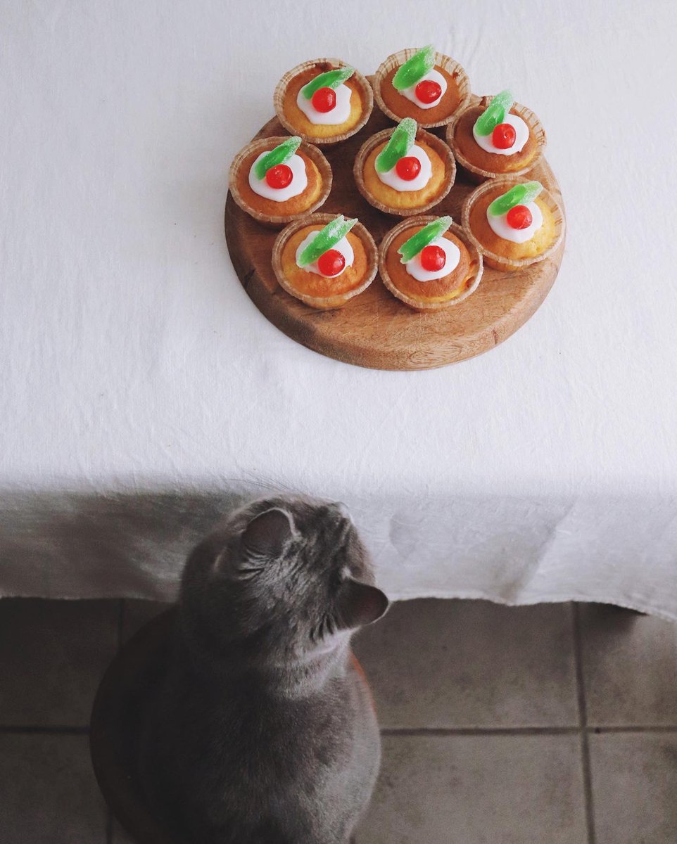 Higuccini No Twitter 週末のおやつ作り マフィンケーキにドレンチェリーとアンゼリカ飾って なんか素朴だけどクリスマス仕様に 後ろ姿のボナさんほとんど大ネズミ マフィン ドレンチェリー アンゼリカ Muffin Muffins