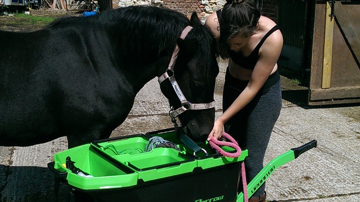 BucketBarrow's tweet image. Bobby knows there must be a snack in one of the URBAN88 Buckets ... now he just has to find it!
Store and carry all your equipment, products and feed easily with BucketBarrow. Learn more at:
bucketbarrow.com/product/urban8…
#BucketBarrow #SaferEasierFaster #betterbarrow #URBAN88