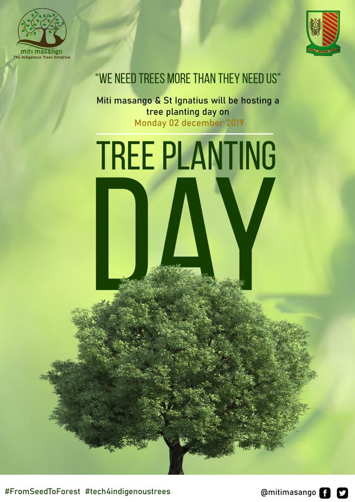 mitimasango's tweet image. 100 Indigenous Trees