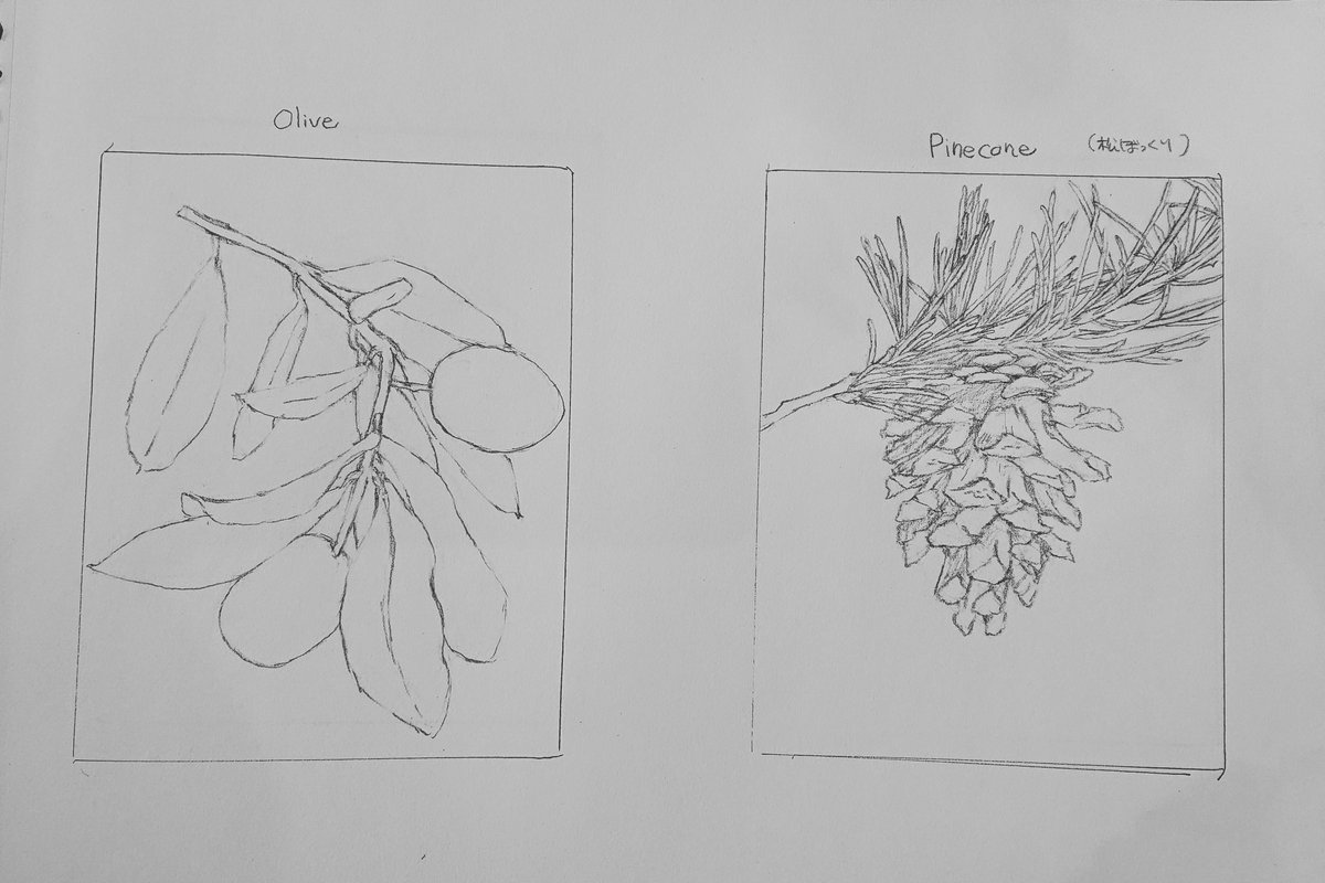 Kagetsu Ukyo 卯京 華月 今日の下絵 オリーブ 松ぼっくり F0号の小作品二点の下絵です アクリル 油彩かな 鉛筆画 練習 素描 一日一絵 今日の下絵 絵描き Art 絵描き人 絵描きの輪 絵描きさんとつながりたい イラストの森 イラスト基地