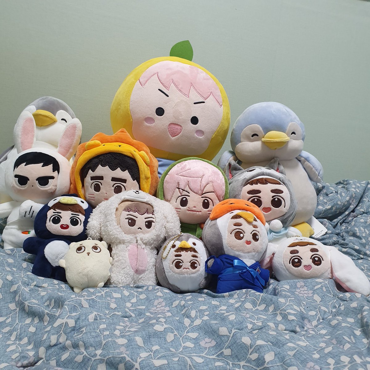 B_perenn1s's tweet photo. 카메라를 본 애기들이 몇없지만,,,
우리집 세계관에 슈퍼뺙이가 와땅(๑･̀▿･́๑) 
정말 넘 크고,,,넘 귀여워 
네코후니도 무럭무럭 자라줘 https://t.co/uJFqk0jJTf