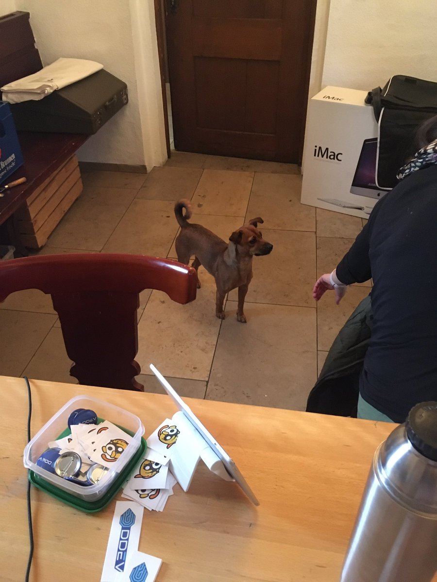 Goldmarke's tweet image. WP Dojo Nürnberg mit Hündin #wordpress