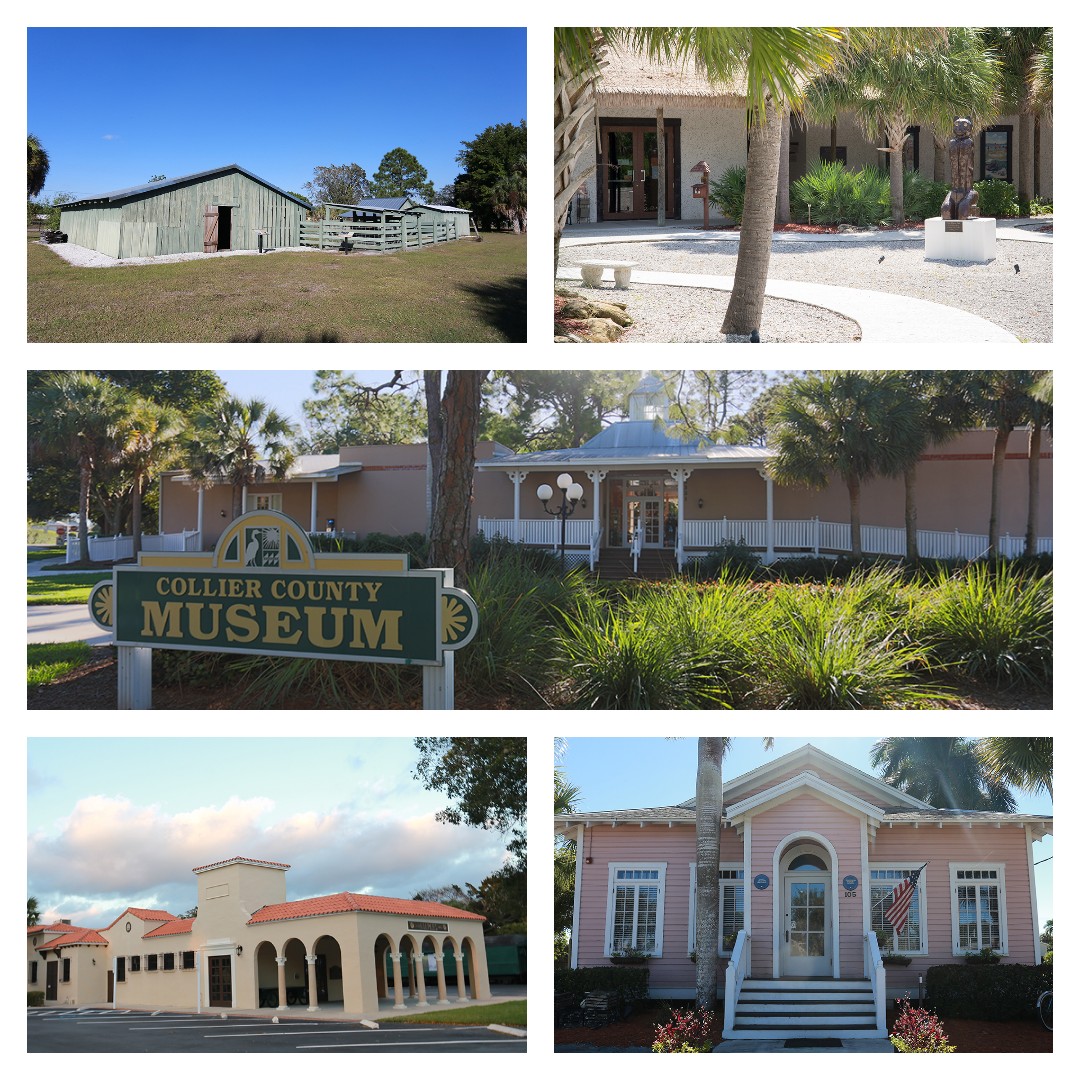CollierMuseums's tweet image. We're back! All Collier County Museums are open today from 9am to 4pm, so come on by for some free museum fun! You can learn about each location, get directions, &amp;amp; see upcoming special events &amp;amp; exhibits here: colliermuseums.com 

#colliermuseums #colliercounty #paradisecoast