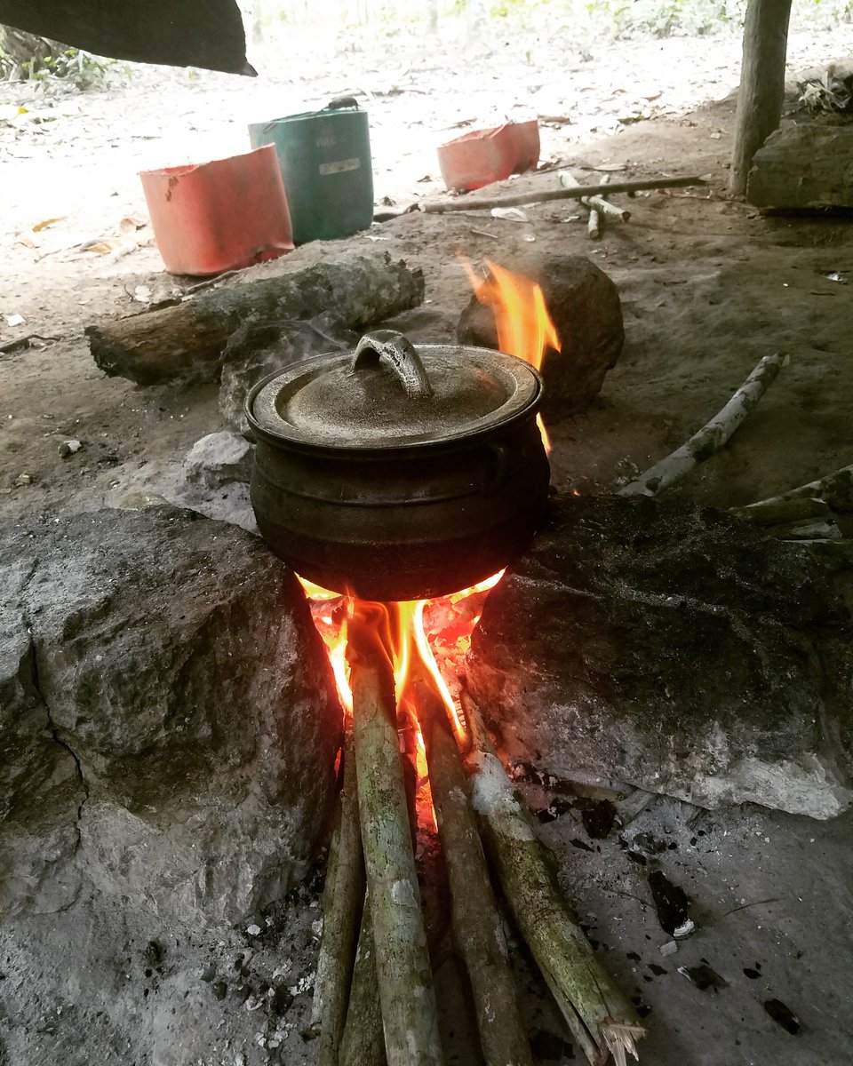 LifeMagazine_CI's tweet photo. [ABIDJAN RANDONNÉE GOURMANDE]
Instant bangui, du vrai, au village éco-touristique Domaine Bini 🌴🍯😍😘
#abidjanrandonneegourmande #domainebini #lifemagazineci https://t.co/7smjcHwoYi
