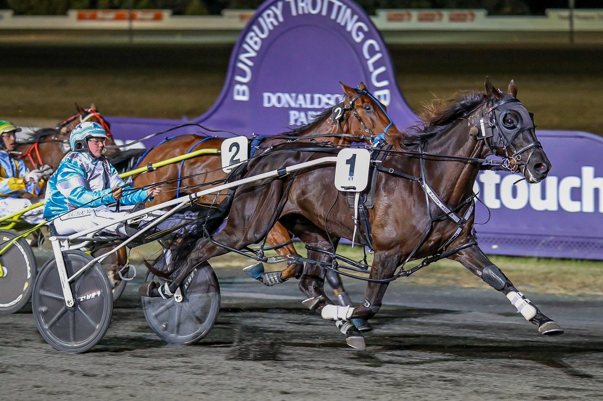 Racing WA - Harness tweet media