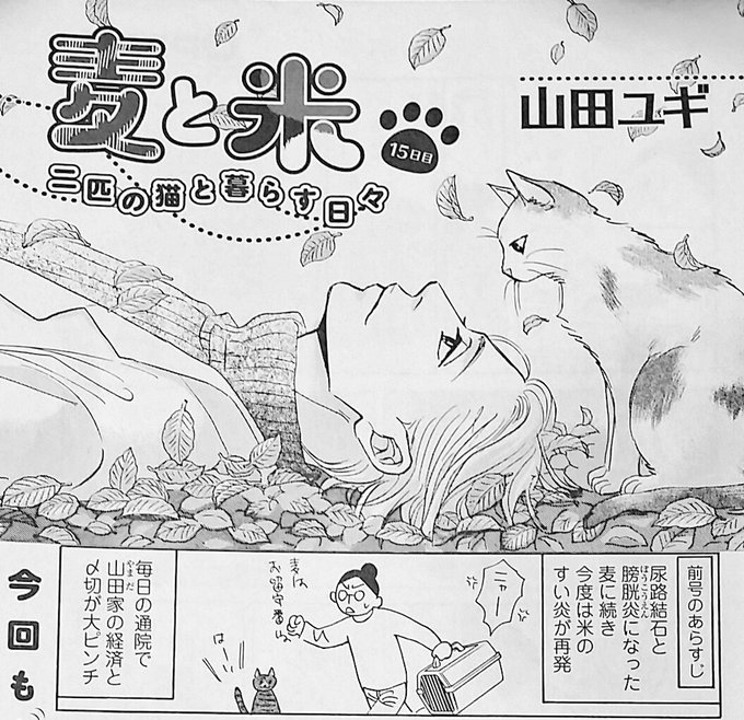 山田ユギお仕事情報 11 10新刊 Yugiyamada Info さんのマンガ一覧 リツイート順 3ページ ツイコミ 仮