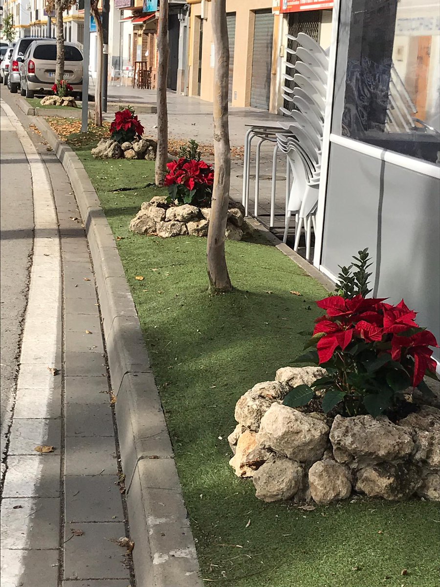 PopularesRio's tweet photo. Ornamentación floral. El #PPLoraDelRío con nuestras #Tradiciones. Con el PP #LoraAvanza. https://t.co/Ro3U7pIDBM