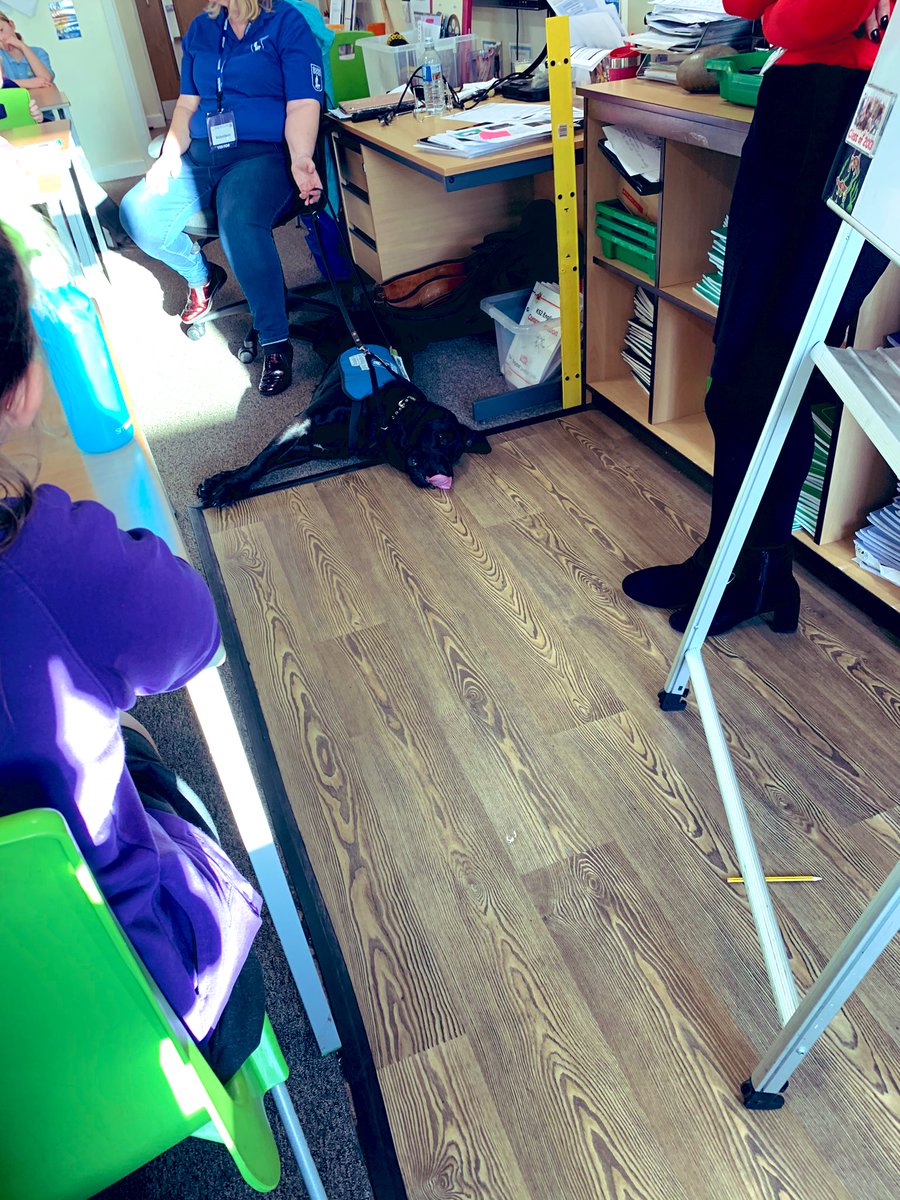 MrHoughton2's tweet image. Y6 had a visit from Pepper and Carol yesterday from @guidedogs for the 3rd part of empathy in #project6 They were an incredible partnership who reminded us all of the amazing work that guide dogs and their trainers do.