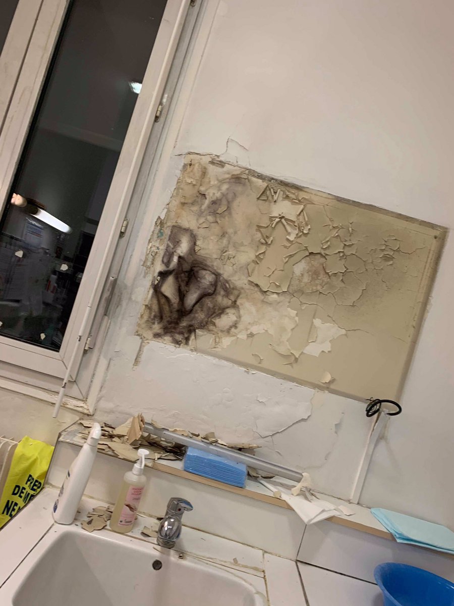 VieDeCarabin's tweet photo. Ces photos viennent du service d’oncologie d’un grand hôpital.
Un placard a cédé à cause de l’humidité et d’un énorme champignon de 30cm.
En oncologie les patients sont immunodéprimés.
(Oui, le service est resté ouvert et on continue de préparer les médicaments dans cette pièce.) https://t.co/VDf4T3O8pq