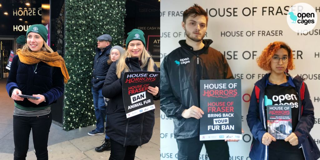 Yesterday for the #FurFreeFriday and #BlackFriday we joined our friends from @HSIUKorg @FourPawsUK and @PETAUK in a protest against House of Fraser’s removal of it’s fur free policy.
Please let HoF know you want a #furfreehouseoffraser by their social media accounts. 🙏🏽