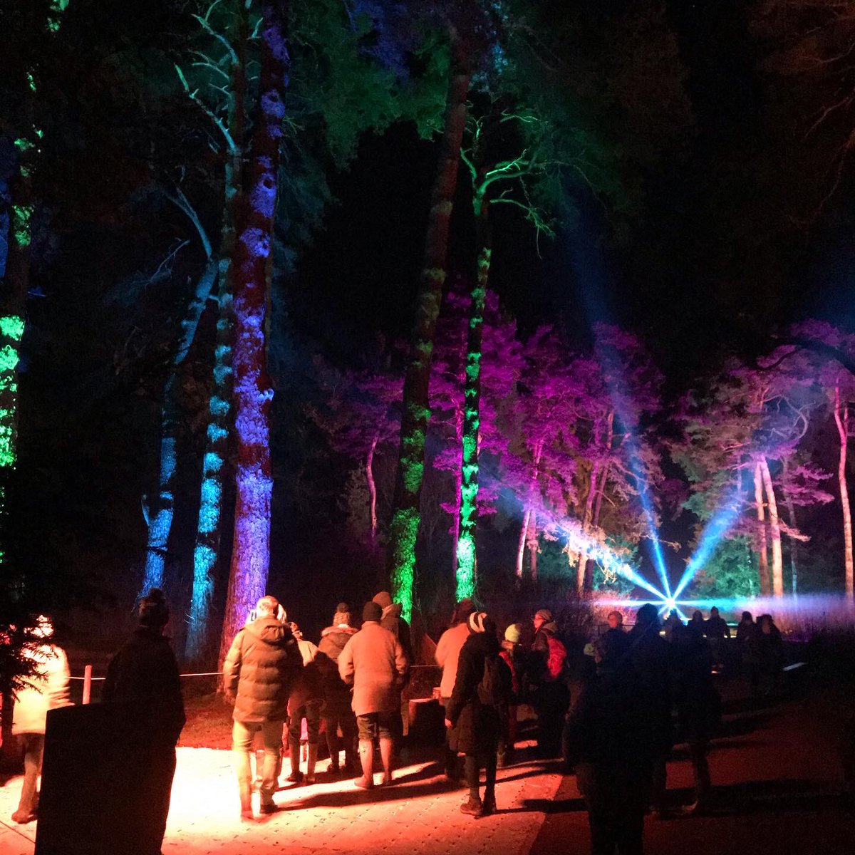 OfficialAlex90's tweet photo. Getting in to the Christmas spirit with the best mum in the world @mandysmith784 @WestonbirtArb  #Enchantedchristmas https://t.co/NFmiNc5gBd