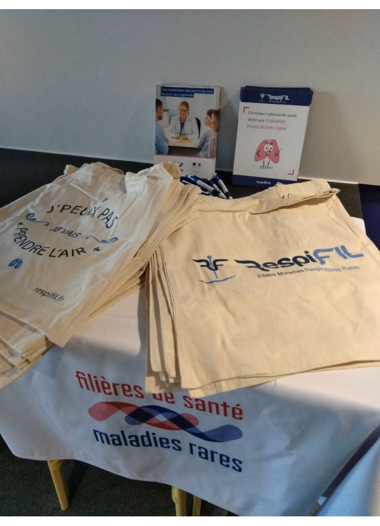 <a href="/RespiFIL/">FSMR - RespiFIL 🫁</a> est en place sur le <a href="/respirhacktion/">Respirhacktion</a> 😉 #maladiesrespiratoiresrares #hackathon #innovation
